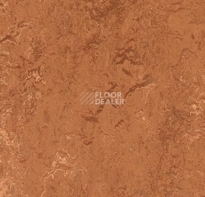 Линолеум Forbo Marmoleum Marbled Real 2767 Rust фото 1 | FLOORDEALER